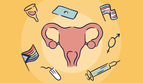 Understanding Your Menstrual Cycle: A Guide to Reproductive Health