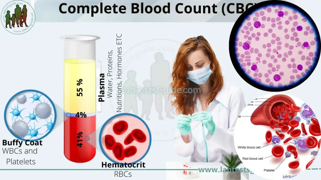CBC: Complete Blood Count Explained CBC
