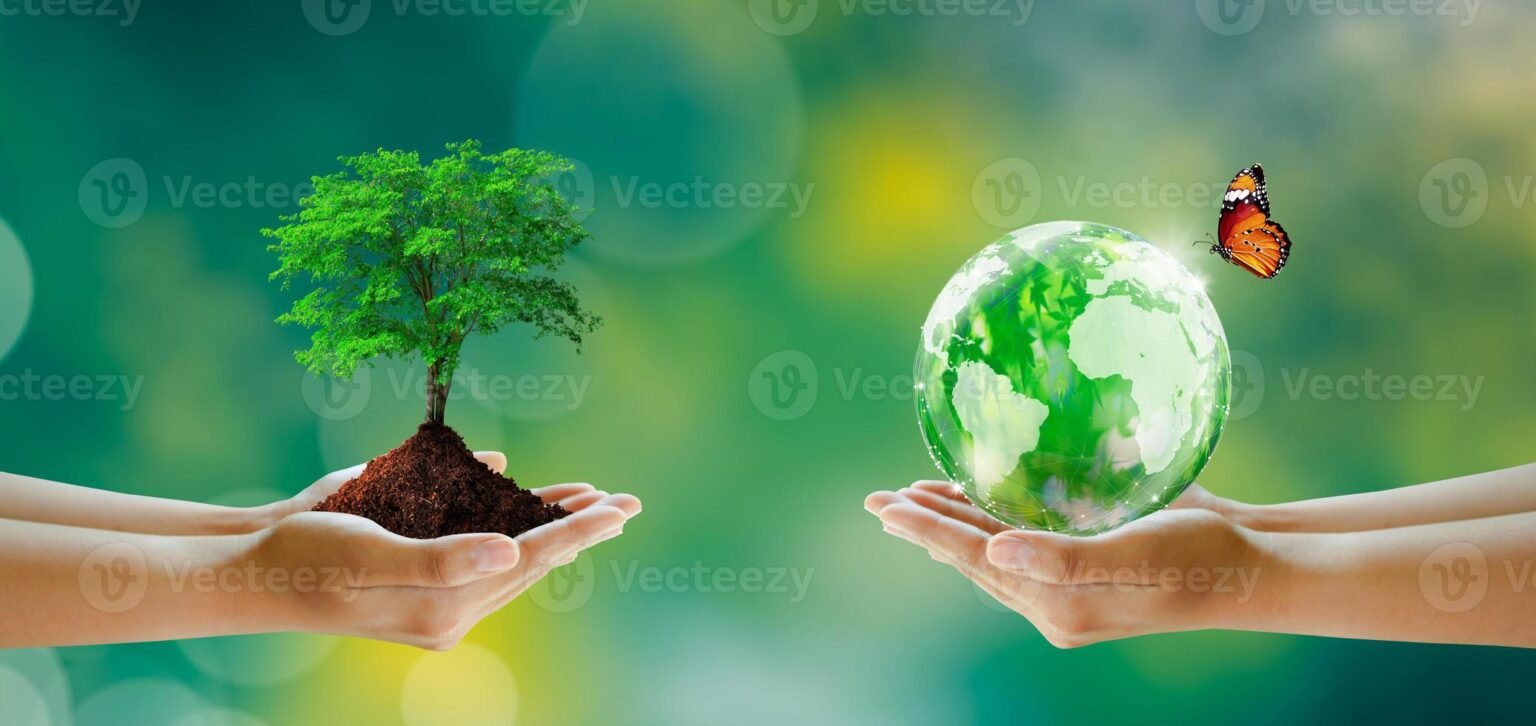 Environnement et écologie : comprendre les enjeux et agir au quotidien Environnement et écologie